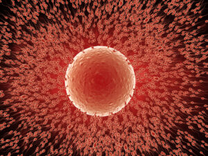 3d rendering sperm fertilize with ovum