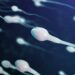 espermatozoides ilustracion 3d acercandose al ovulo ovulo fertilizacion natural vista primer plano concepcion comienzo nueva vida esperma microscopio esperma movimiento min