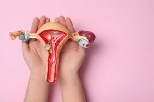 mujer modelo anatomico utero vista superior fondo rosa espacio texto concepto ginecologia min