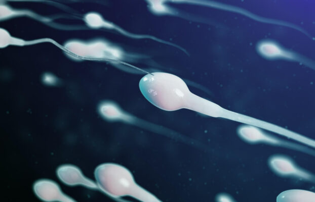 FISH Espermatozoides: Detectando anomalías cromosómicas