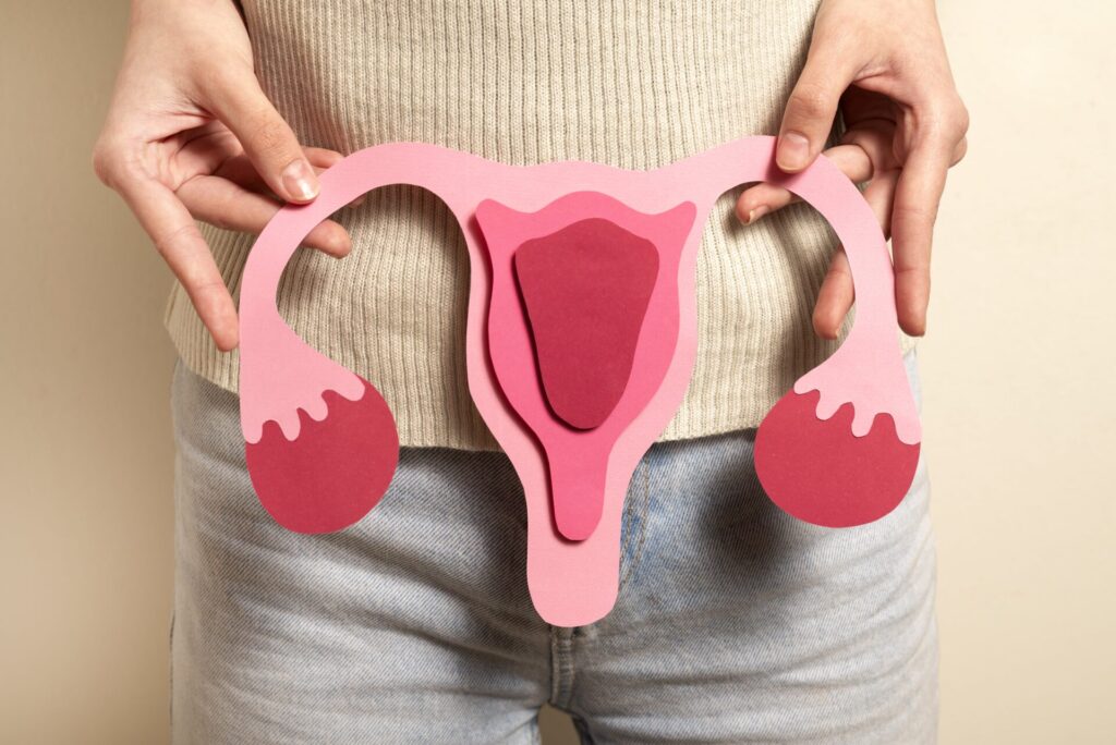 woman holding reproductive system front view min