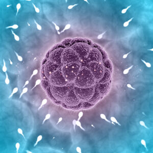 Render del proceso de fertilización con un óvulo y muchos espermatozoides
