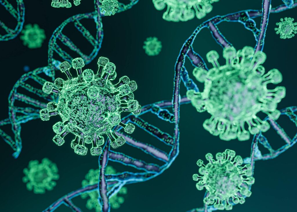 enterococcus faecalis