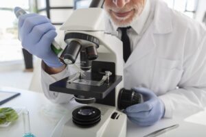 estudio microscópico