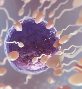 beautiful fertility concept 3d rendering min beautiful fertility concept 3d rendering min