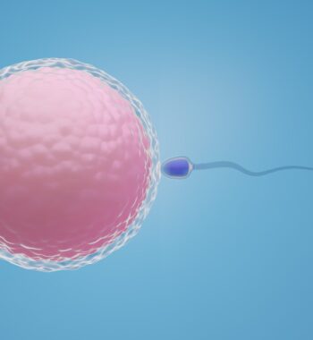 sperm swimming towards red egg blue background 3d illustration rendering min sperm swimming towards red egg blue background 3d illustration rendering min
